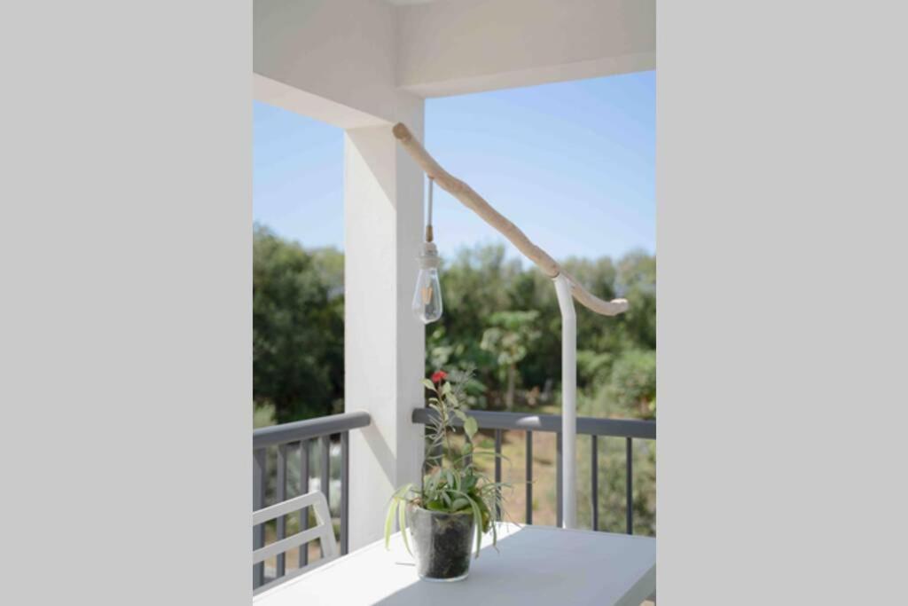 Apartamento Ti-punch T3 climatisé Manapany les bains Exterior foto